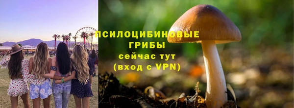 стафф Баксан