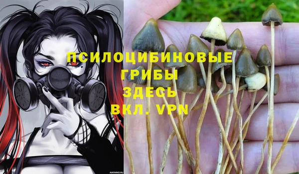 MESCALINE Аркадак