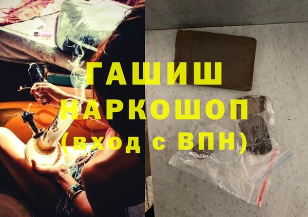 индика Балахна
