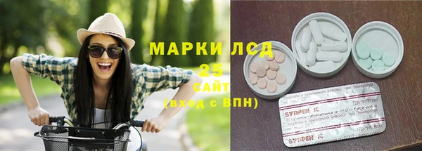 MESCALINE Аркадак